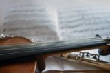 Trio Triol institusjons- konsertar